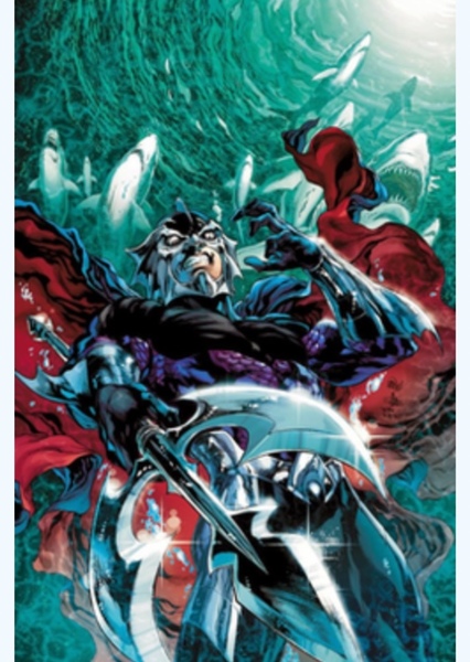 Ocean Master photo