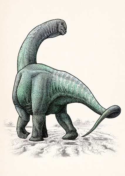 Oceanotitan photo