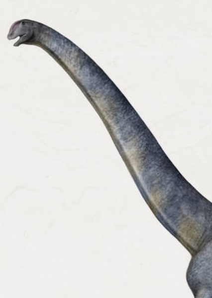 Oceanotitan photo