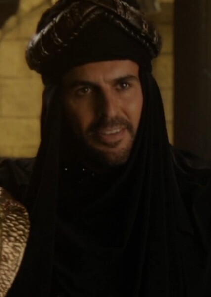 Oded Fehr photo