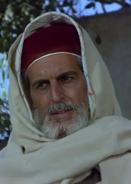 Oded Fehr photo