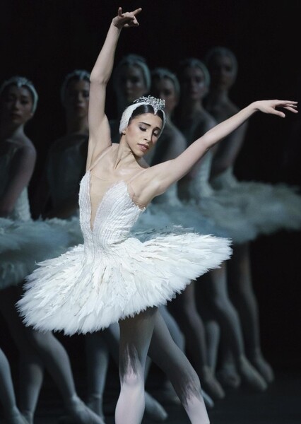 Odette (swan lake photo