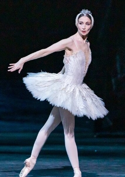 Odette (swan lake photo