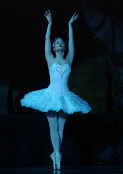 Odette (swan lake photo
