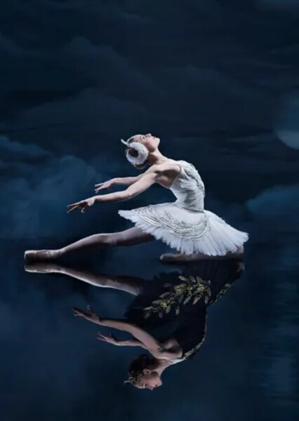 Odette (swan lake photo