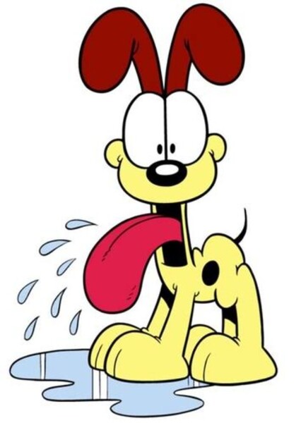 Odie (Garfield) photo