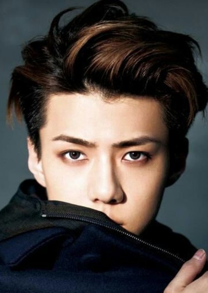 Sehun photo