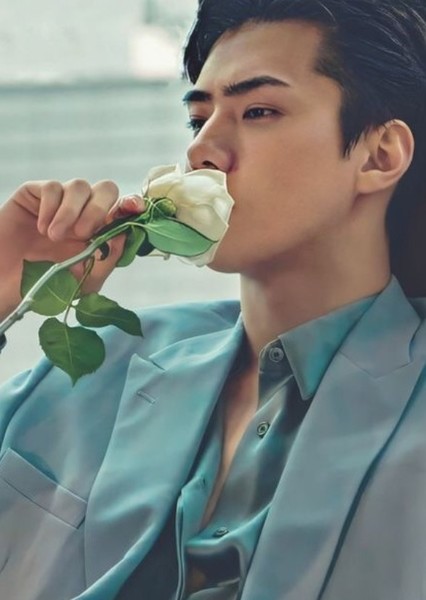 Sehun photo