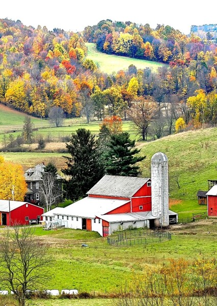 Ohio