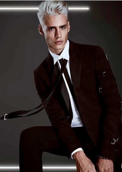 Oliver Stummvoll photo