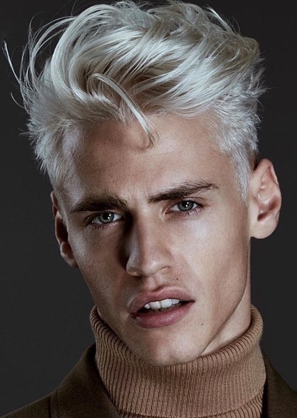 Oliver Stummvoll photo