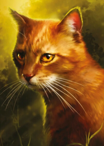 Onestar (Warrior Cats) photo