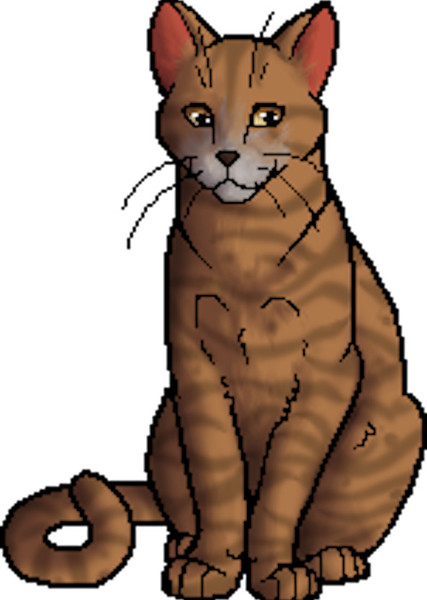Onestar (Warrior Cats) photo