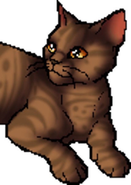 Onestar (Warrior Cats) photo