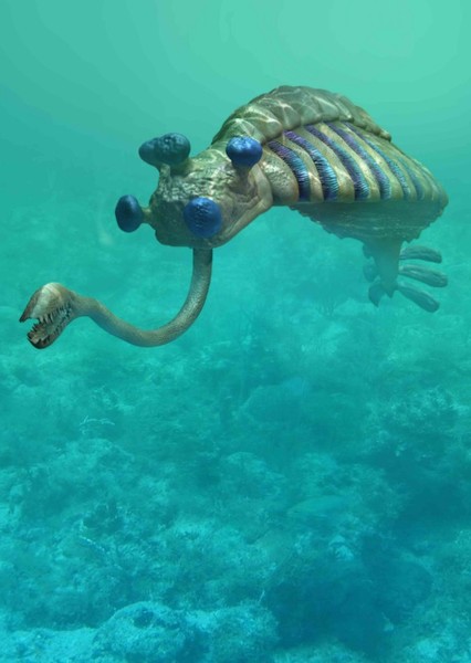 Opabinia photo