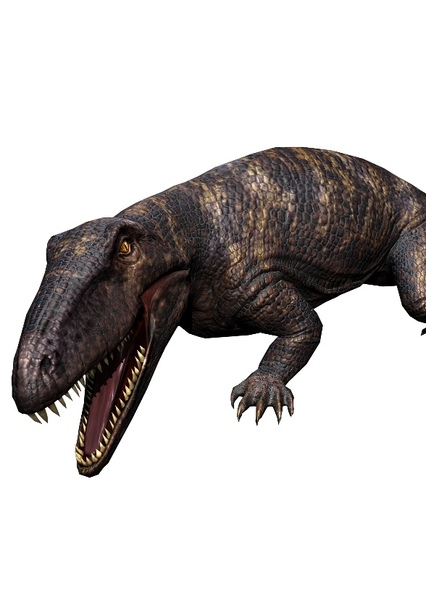 Ophiacodon photo