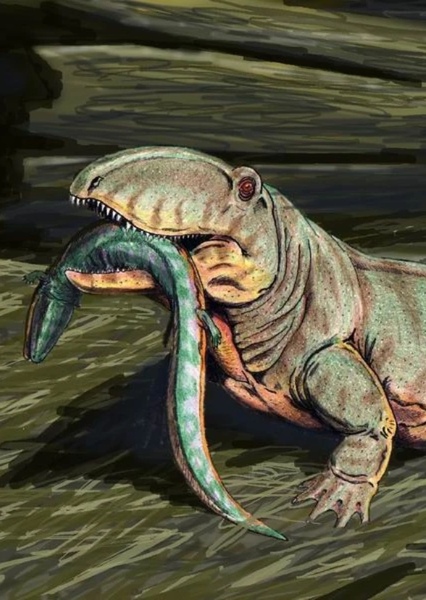 Ophiacodon photo