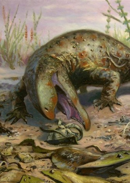 Ophiacodon photo