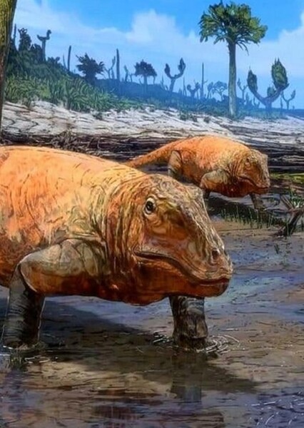 Ophiacodon