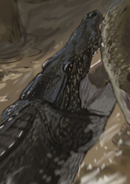 Ophiussasuchus