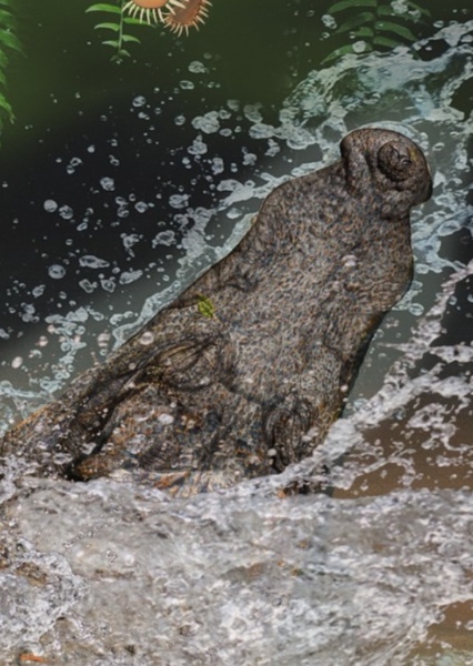 Ophiussasuchus