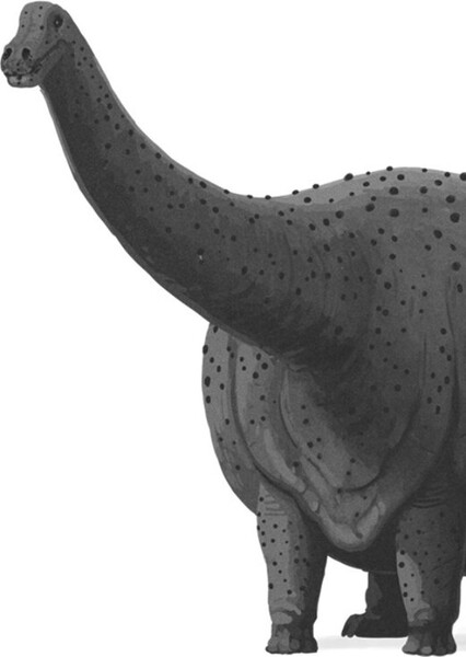 Opisthocoelicaudia