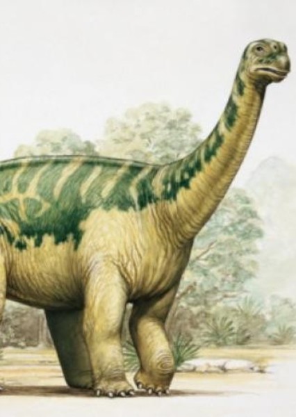 Opisthocoelicaudia