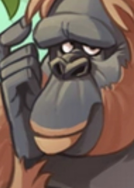 Orangutan photo