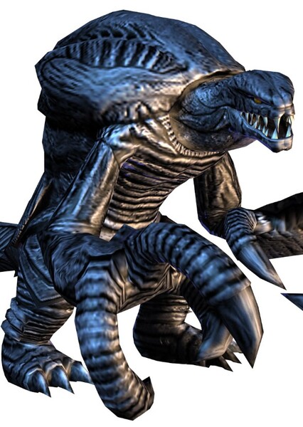 Orga photo