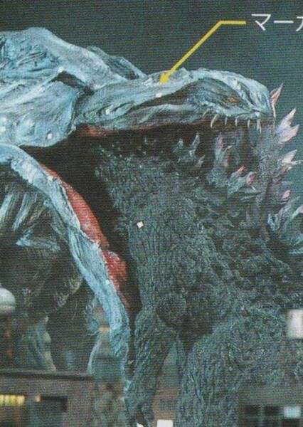 Orga photo
