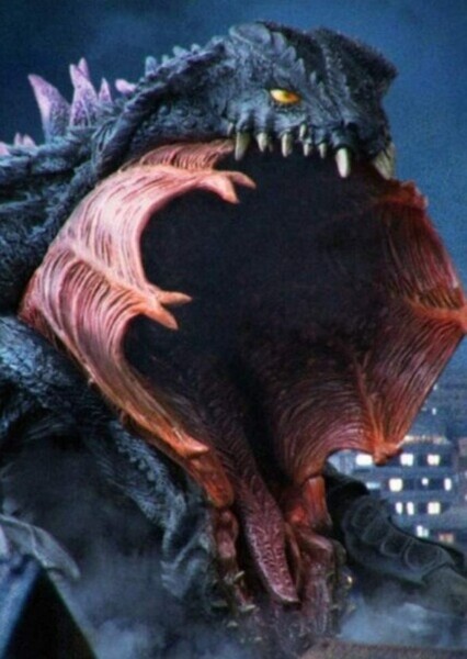 Orga photo