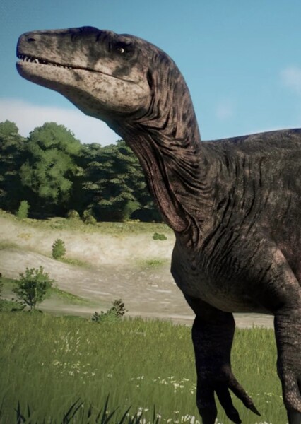 Orkoraptor photo
