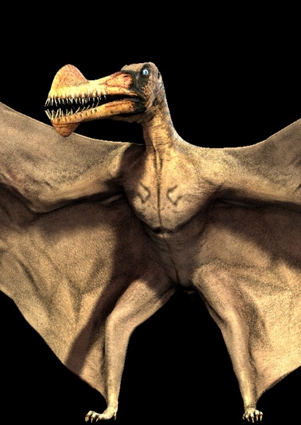 Ornithocheirus photo