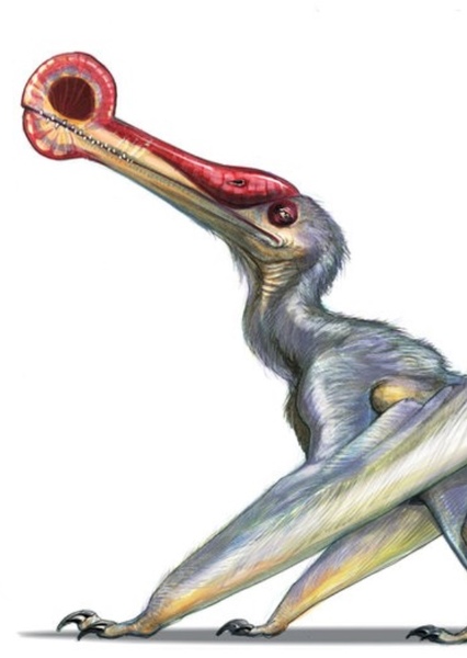 Ornithocheirus