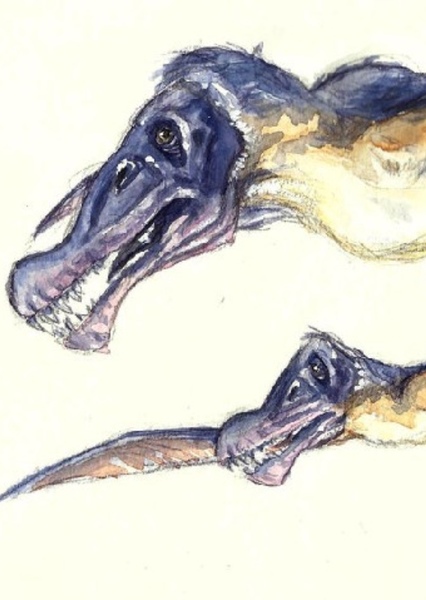Ornithocheirus photo