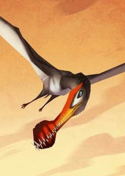 Ornithocheirus photo
