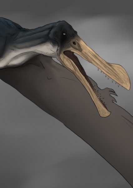 Ornithocheirus photo