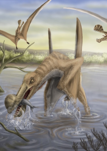 Ornithocheirus photo