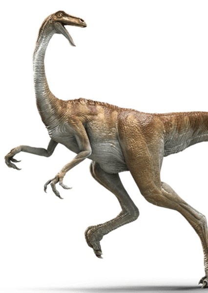 Ornithomimidae