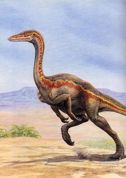 Ornithomimus photo
