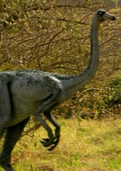 Ornithomimus photo