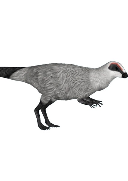 Orodromeus photo