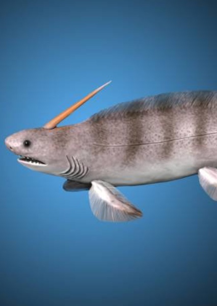 Orthacanthus photo