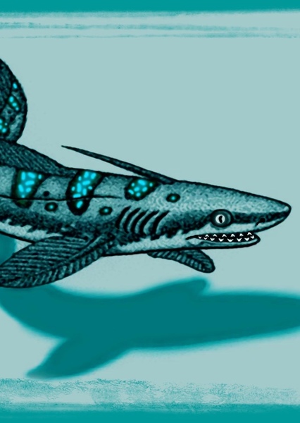 Orthacanthus