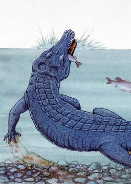 Orthosuchus