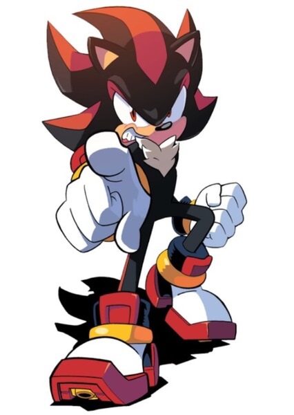 Shadow the Hedgehog