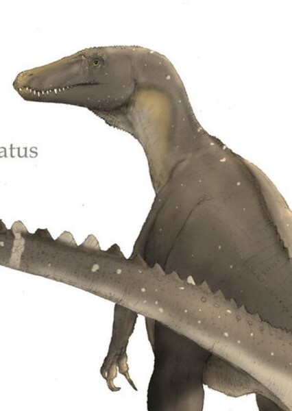Ostafrikasaurus