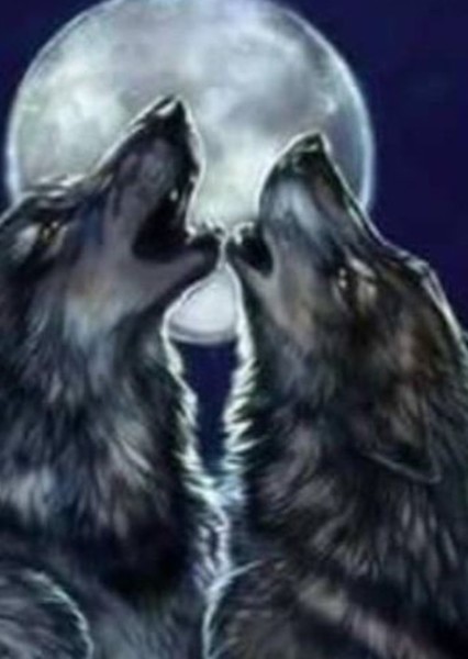 Our Werewolves Are Different photo
