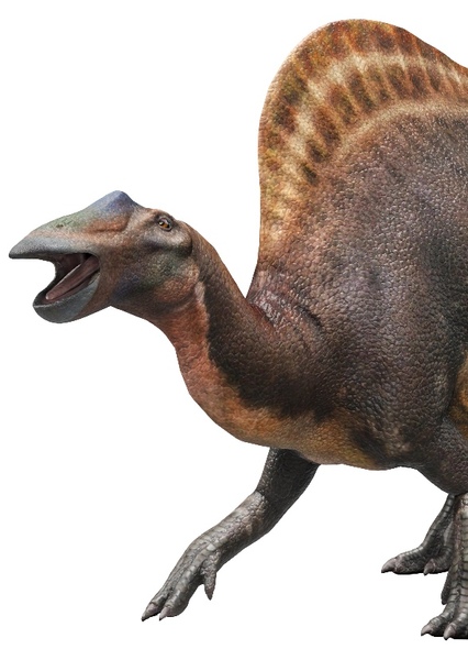 Ouranosaurus photo