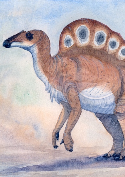 Ouranosaurus photo
